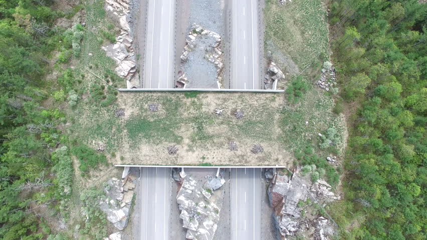 Land Bridge - Wildlife crossing for animals to get across the highway