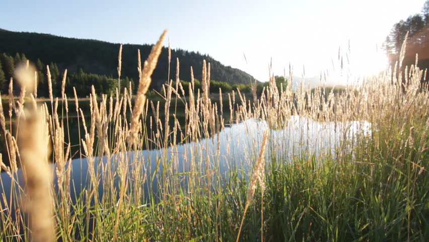 Dolly slider shot of a pond surrounded by hay during sunrise on a ranch in