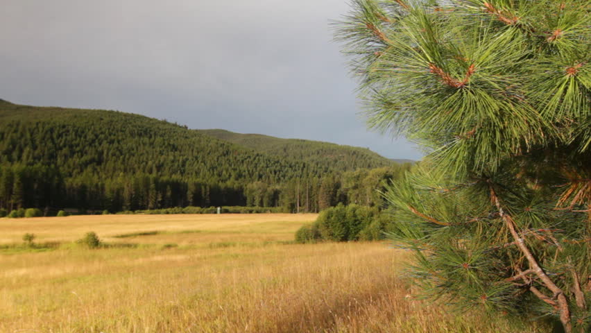 Dolly slider shot of a grassy valley surrounded by mountains with pine trees in