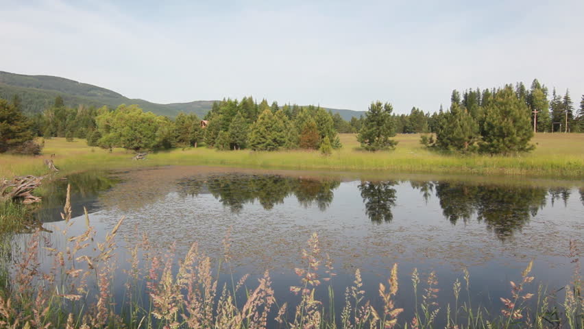Dolly slider shot of a pond on a ranch surrounded by pine trees mountains and