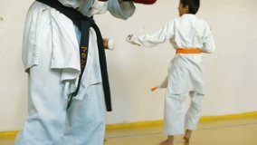 training martial arts