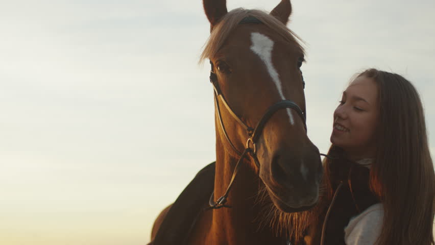 Horse shot. Elena Baryshkina Horse shoot Aksenova.