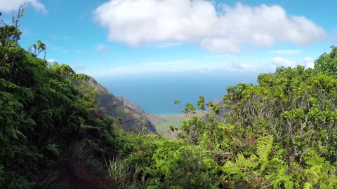 Stunning view of amazing canyon valley with lush rainforest jungle overlooking crystal clear ocean bay. Beautiful nature at mountain top lookout point along the famous Kalalau trail in Hawaii