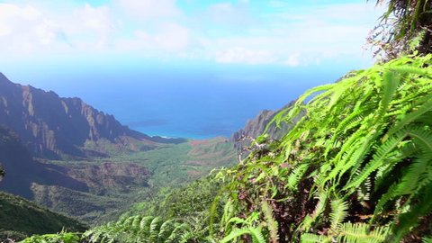Amazing view of amazing canyon valley with lush rainforest jungle overlooking crystal clear ocean bay. Beautiful nature at mountain top lookout point along the famous Kalalau trail in Hawaii