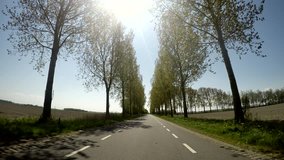 Video footage P.O.V. Of driving in the netherlands in agricultural landscape