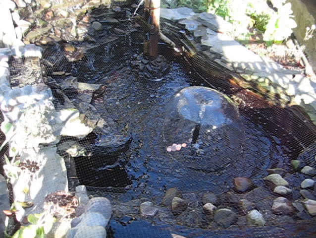urban garden fountain