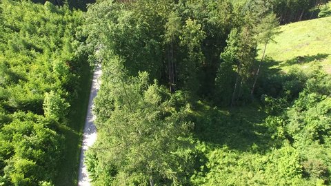 Aerial shot of footpath through forest