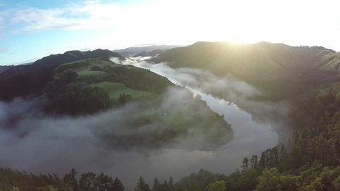 Aerial view over pine forest of Whanganui River covered in early morning fog, New Zealand 