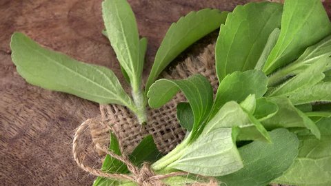 Stevia leaves  (not loopable; 4K)