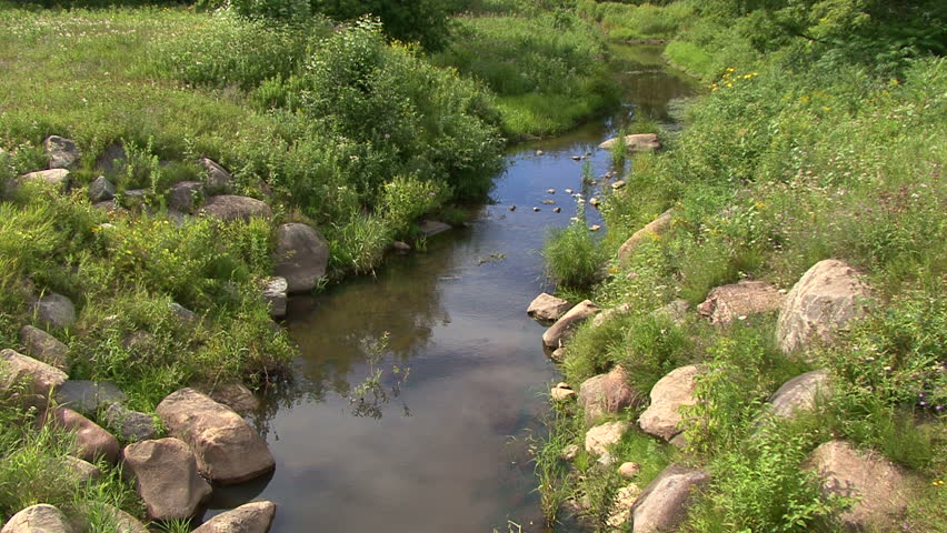 Tilt-up creek in lush meadow