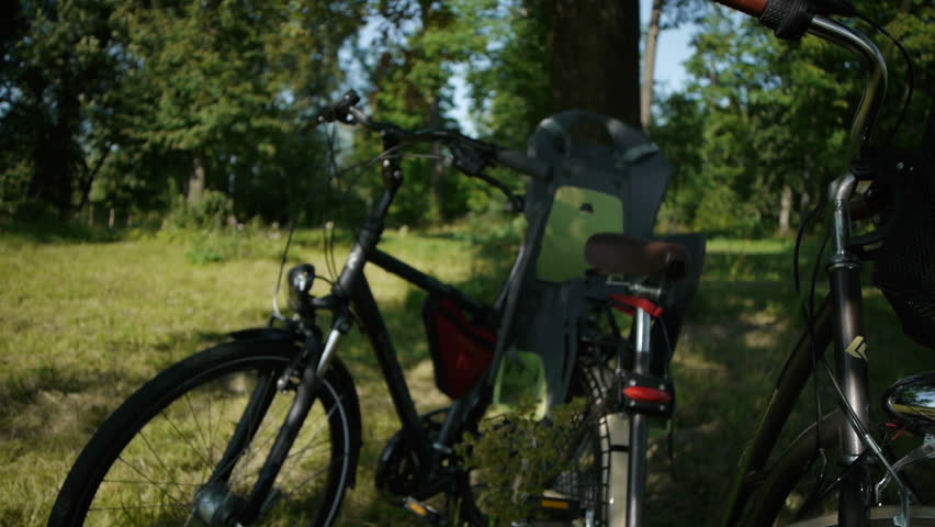 the bikes are under the tree