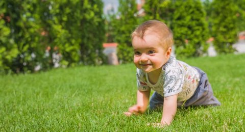 Curious Baby Boy Crawling Park Cute Infant Toddler Footage Relaxing Grass Tree Sunny Green Adorable Innocent