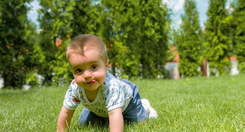 Cute Baby Boy Crawling Park Infant Toddler Footage Relaxing Grass Tree Sunny Green Adorable Innocent
