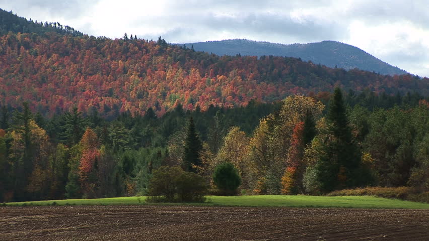WS of brown field, evergreens, and autumn trees on hillside
