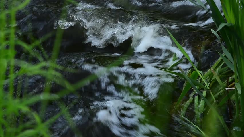 Running water from a brook. Closeup Royalty-Free Stock Footage #17225272