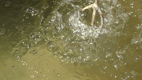 Man cleaning mixing tool in water in slow motion
