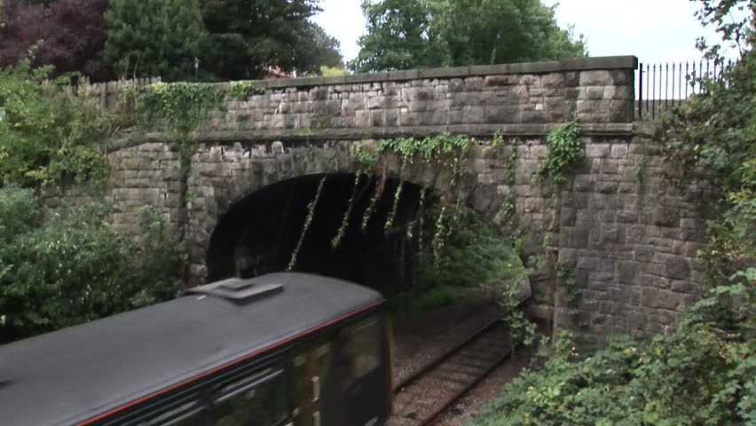 Local train going under bridge.