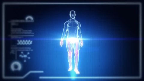 Human Full Body Male Anatomy Walking with Touch Screen Scan in 3D x-ray. Realistic Vertical CRT Scanlines - LOOP