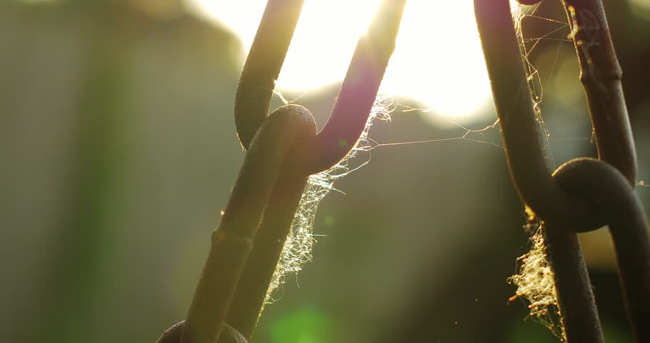 Closeup of rusted chain with spider web