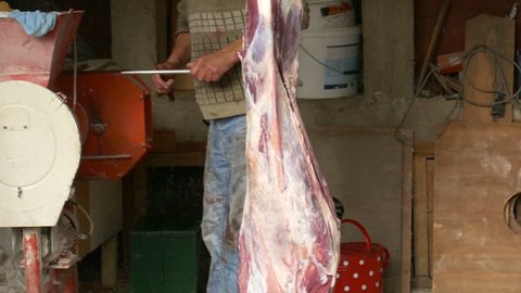 Man sharpening his knife behind a dead and hanging goat - handheld
