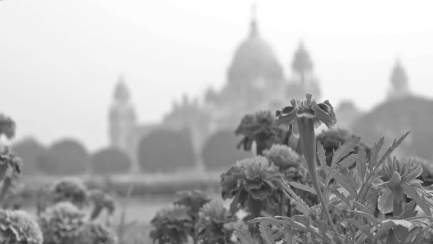 Victoria Memorial, Kolkata , Calcutta, West Bengal, India. A Historical Monument of Indian Architecture. Built between 1906 and 1921. Beautiful flowers in foreground - stock footage. 