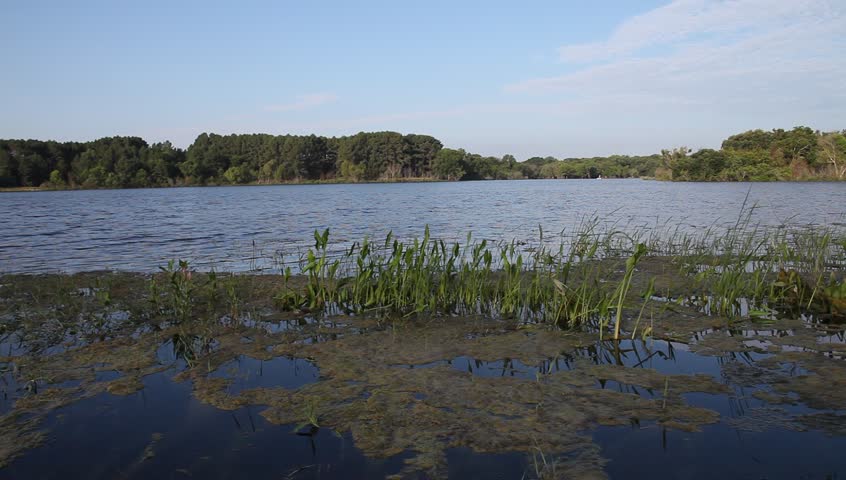 Black Creek Lake in the LBJ Grasslands in Decatur Texas.