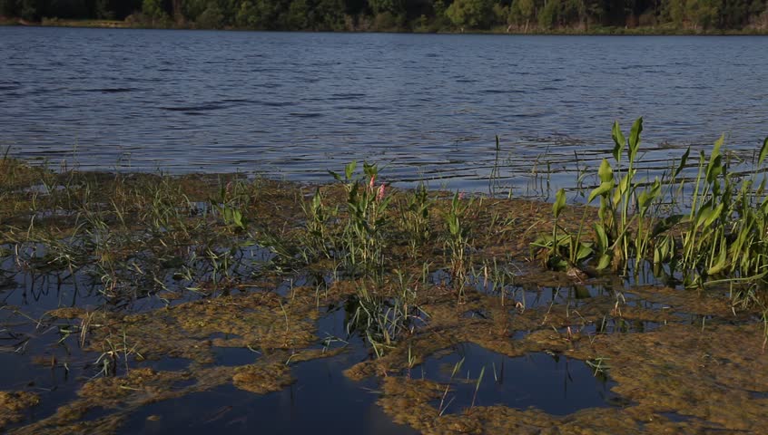 Black Creek Lake in the LBJ Grasslands in Decatur Texas.