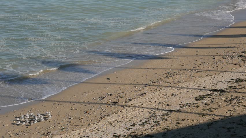 Slow motion D-Day landing Sword beach in northern France Normandy 1920X1080 HD footage - Operation Overlord WW2 Sword beach by the day slow-mo 1080p FullHD video