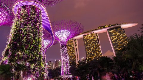 gardens by the bay night tourist famous show hotel panorama 4k time lapse singapore
