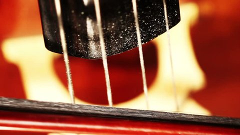 Musician and Double Bass strings and bow extreme closeup