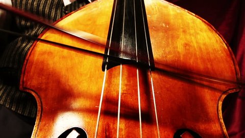 Musician and Double Bass playing wide low angle