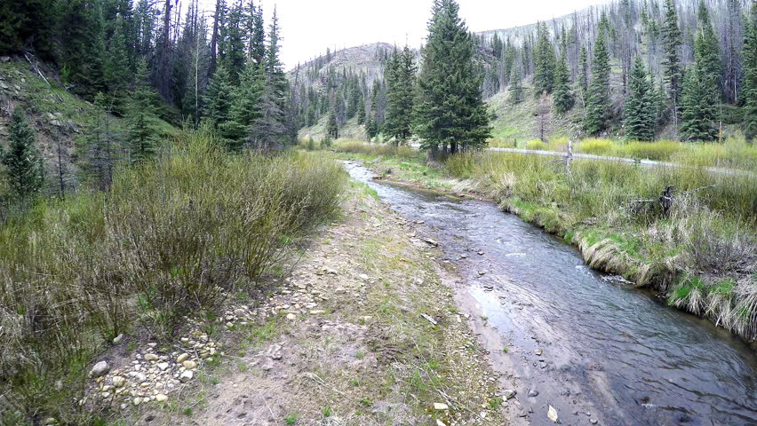HUNTINGTON CANYON, UTAH - MAY 2016: Aerial-Flying low over beautiful crystal clear mountain stream between brush and pine trees on the banks with forest service road parallel to the stream.