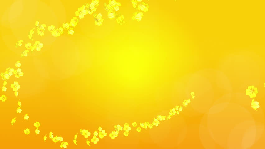 photo Flower Yellow Colour Background Images whirling flower head yellow stock footage video 100 royalty free 17316721 shutterstock