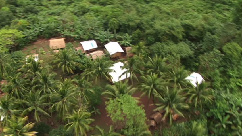 Aerial view over jungle houses and coconut trees