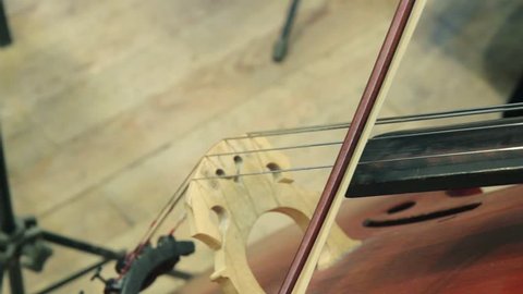 Double bass. Cello game.  hand plays on the double bass. Double bass playing. Closeup of a bass fiddle with the hand of the musician.