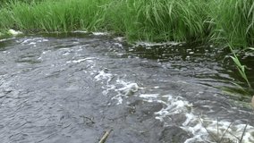 River stream full HD video