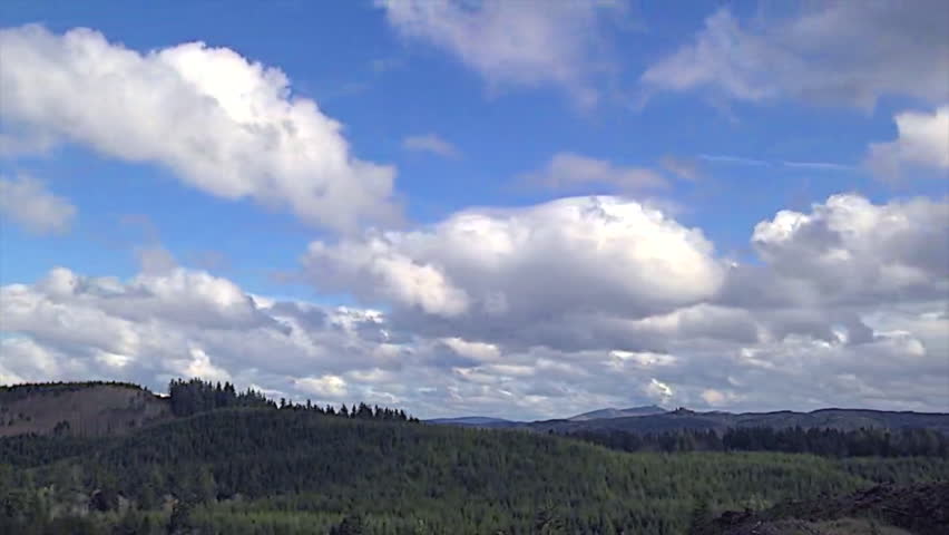 Time lapse of clouds over Olympic National Forest Wa. State in Spring.