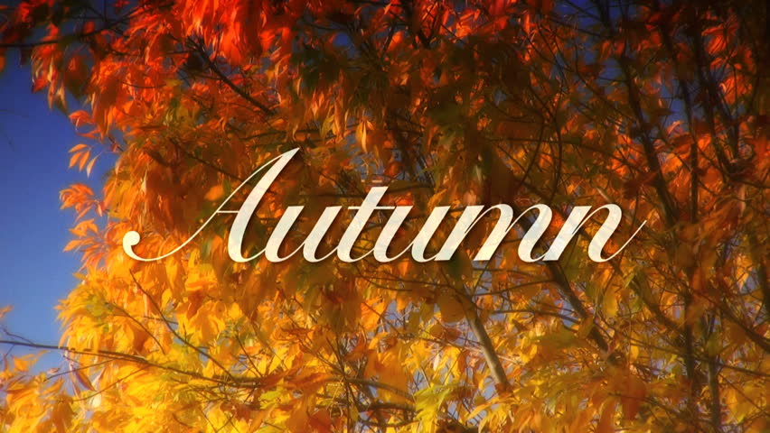 Autumn Trees and Title