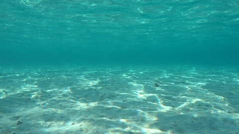 Sunlight Ripples Across Shallow Sandy Seafloor Stock Footage Video (100 ...