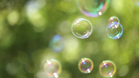 Large soap bubbles floating