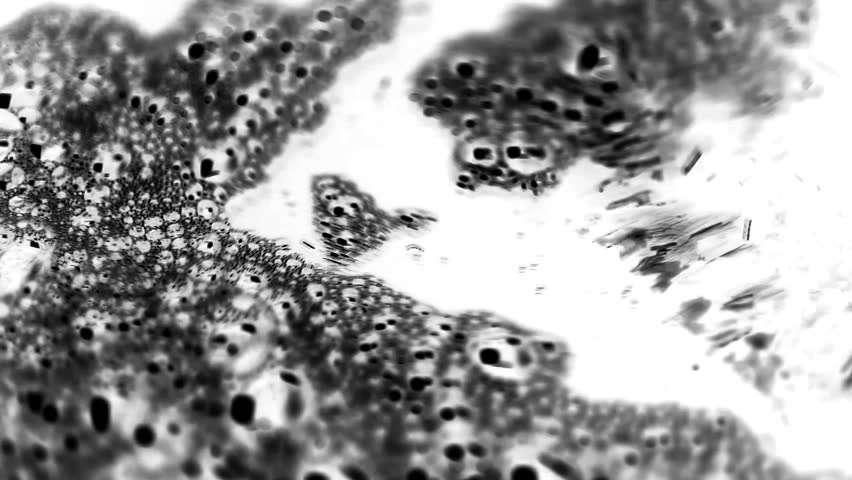 Abstract Black Bubbles
