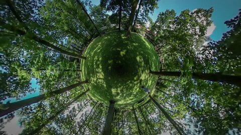 Tiny Planet, Man, Silhouette is Walking in Botanic Garden by Green Lawn, Park, Spherical Panorama, Mini-Planet, Mini-People, Walking by Alley and Looking Around in