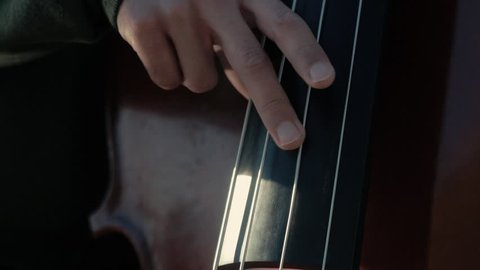 Tight shot of an upright (double) bass being plucked at  60 fps