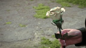A young woman leaves the metal rose in the Park. Slow motion