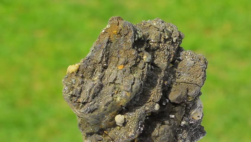 Pyrite and calcite crystal with a green background variant 9