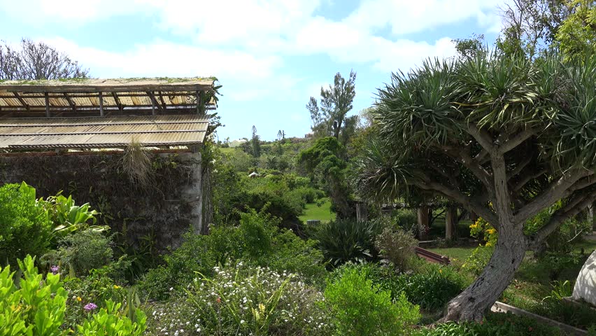 Greenhouse of Hamilton Botanical Gardens, Bermuda