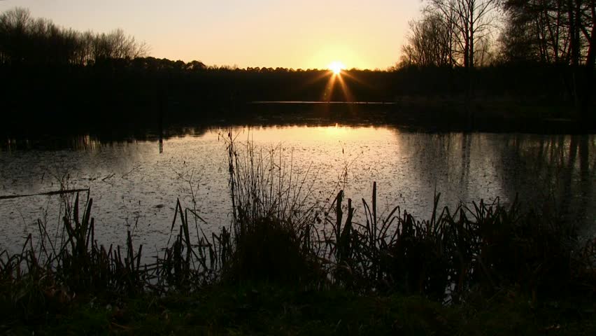 sunset at the lakeside (dolly)