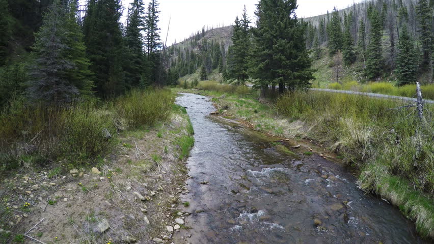 HUNTINGTON CANYON , UTAH - MAY 2016: Aerial-Flying low over beautiful crystal clear mountain stream between brush and pine trees on the banks with forest service road parallel to the stream.