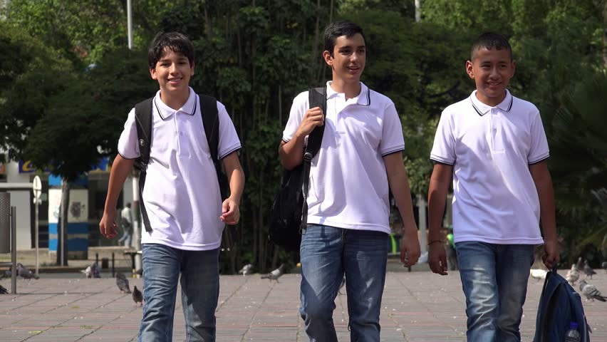Teen Boys Walking to School Stock Footage Video (100% Royalty-free)  17426794 | Shutterstock
