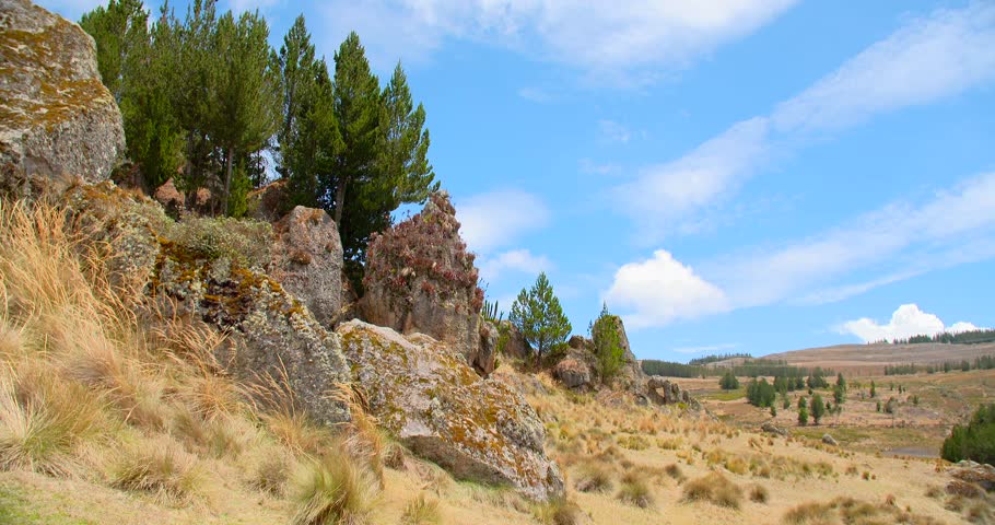 PERU: Cumbemayo, Cajamarca, Peru. South America